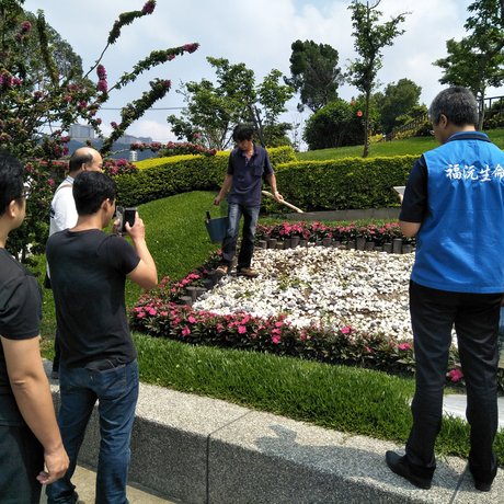 陽明山花葬,陽明山花葬覆土